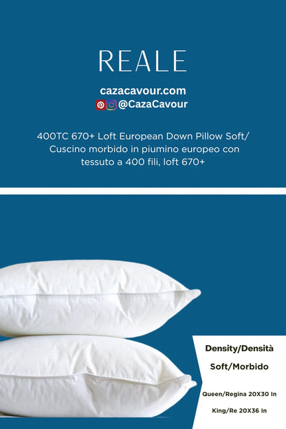 Two white European down pillows with soft density on a blue background, 400TC 670+ loft.