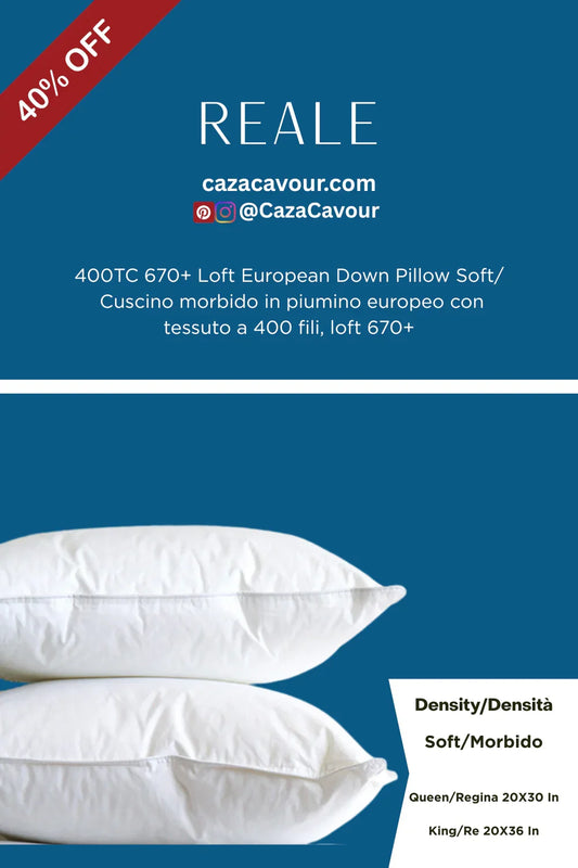Two white European down pillows, soft density, 400TC 670+ loft, 40% off sale banner