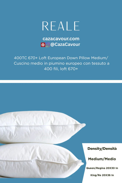 Two white medium-density European down pillows, 400TC 670+ loft, on a blue background.